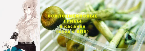 ПСИЛОЦИБИНОВЫЕ ГРИБЫ Армянск