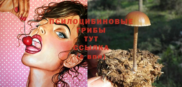 ПСИЛОЦИБИНОВЫЕ ГРИБЫ Армянск