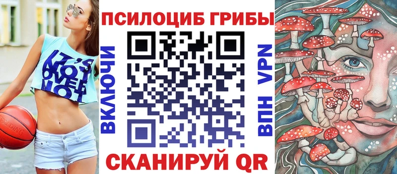 магазин продажи наркотиков  Тихвин  Галлюциногенные грибы MAGIC MUSHROOMS 